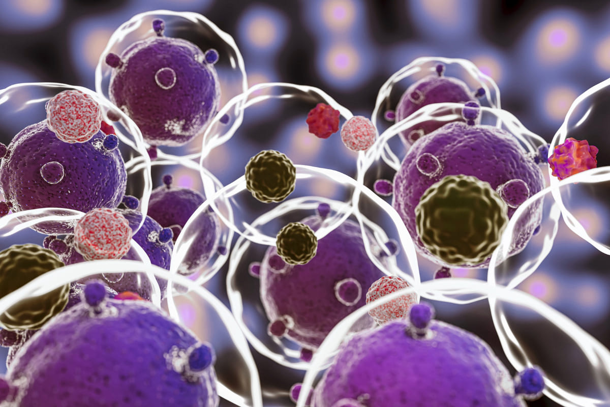 Cómo combatir el estrés oxidativo